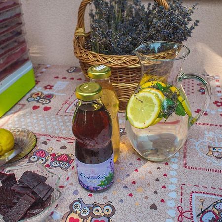 Bungalovy Natura Trávnica エクステリア 写真