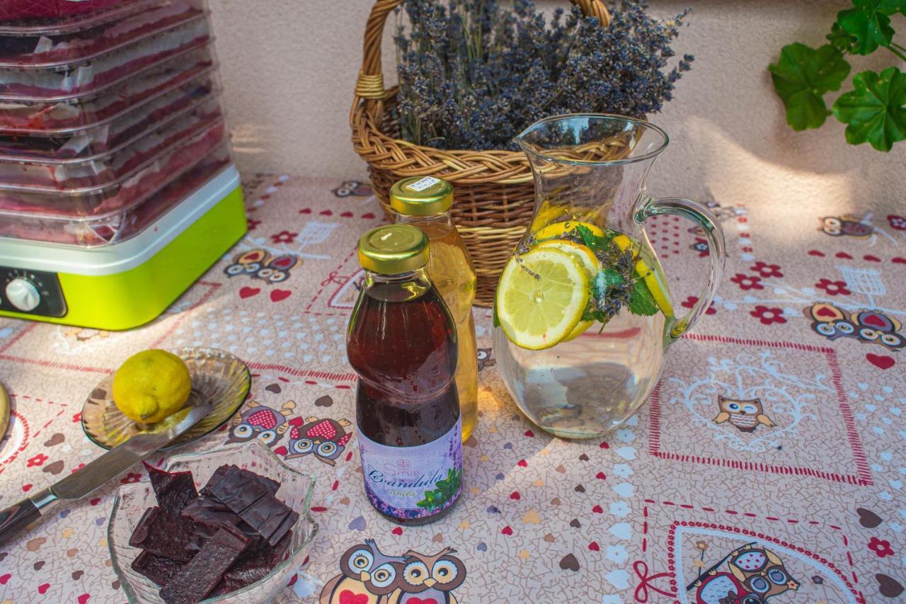 Bungalovy Natura Trávnica エクステリア 写真